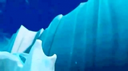 عصر یخبندان 2